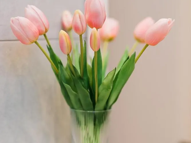 Lägenhet Maison Pesca *