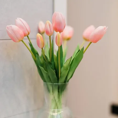 Apartman Maison Pesca *